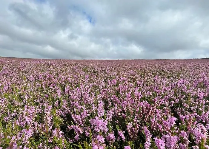 Vakantiehuis Fern - Cosy Dales In Nidderdale *