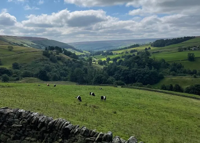 Fern - Cosy Dales In Nidderdale * Lofthouse (North Yorkshire)