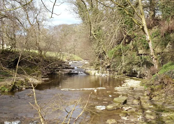 Fern - Cosy Dales In Nidderdale