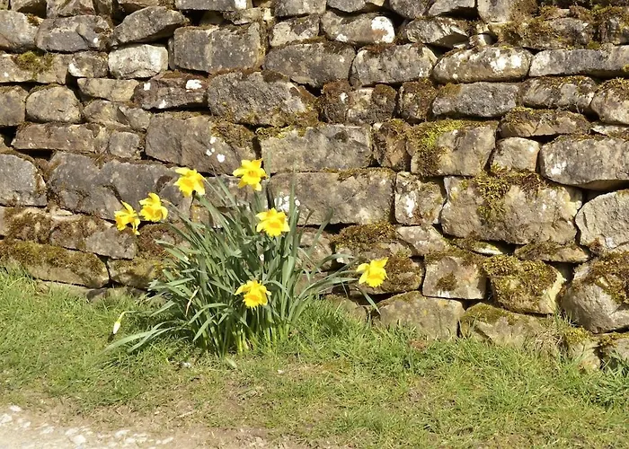 Vakantiehuis Fern - Cosy Dales In Nidderdale Lofthouse (North Yorkshire)