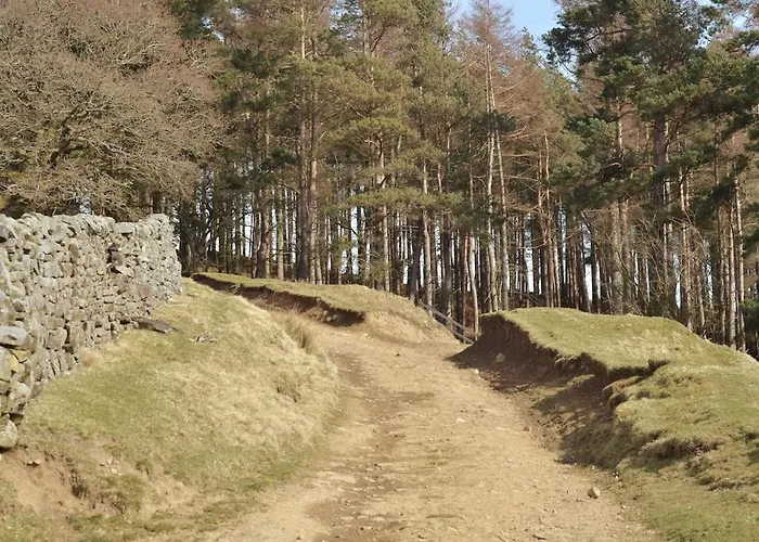Fern - Cosy Dales In Nidderdale Lofthouse (North Yorkshire)