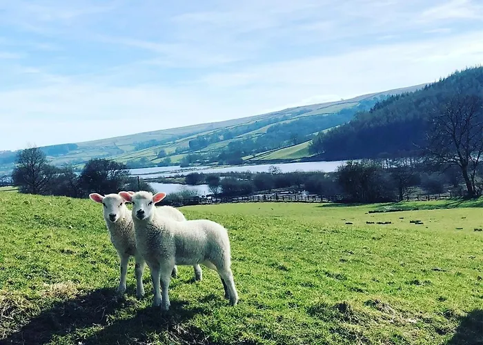 Fern - Cosy Dales In Nidderdale Vakantiehuis *