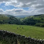 Fern - Cosy Dales In Nidderdale * Lofthouse (North Yorkshire)