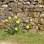Casa de Férias Fern - Cosy Dales In Nidderdale Lofthouse (North Yorkshire)