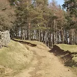 Fern - Cosy Dales In Nidderdale Lofthouse (North Yorkshire)